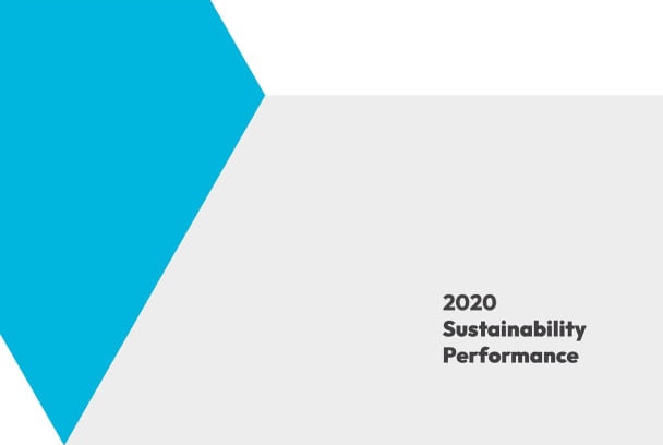 2020 ESG Summary Table